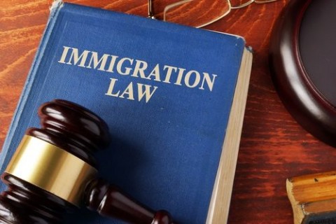 IMMIGRATION-LAW